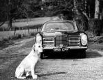 Facel Vega Facel II 1962 года (UK)